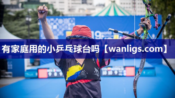 有家庭用的小乒乓球台吗