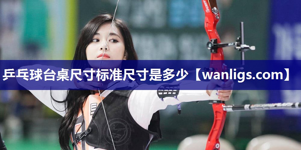 乒乓球台桌尺寸标准尺寸是多少