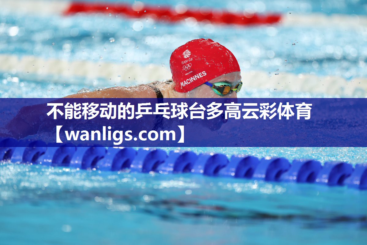 不能移动的乒乓球台多高云彩体育