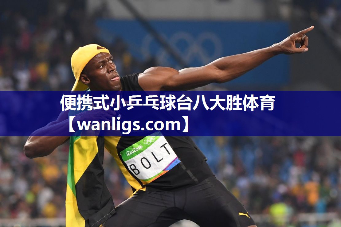 便携式小乒乓球台八大胜体育