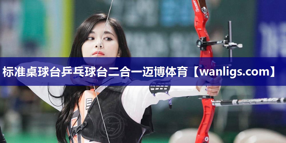 标准桌球台乒乓球台二合一迈博体育
