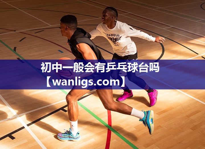 初中一般会有乒乓球台吗
