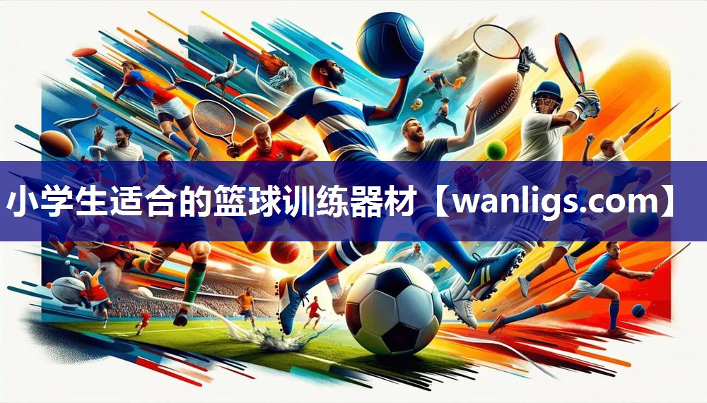 小学生适合的篮球训练器材