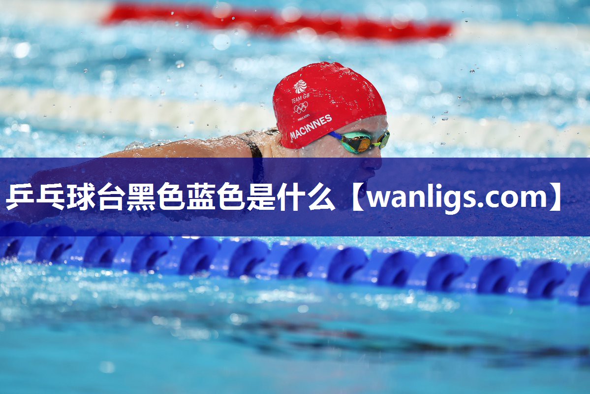 乒乓球台黑色蓝色是什么
