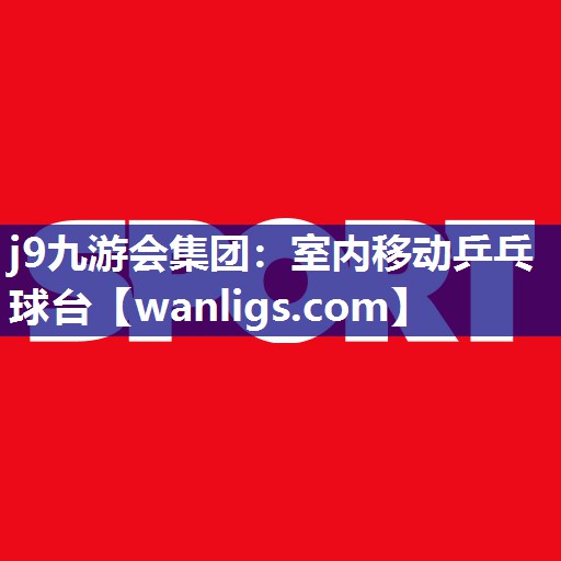 室内移动乒乓球台